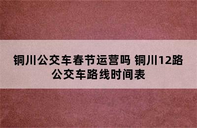 铜川公交车春节运营吗 铜川12路公交车路线时间表